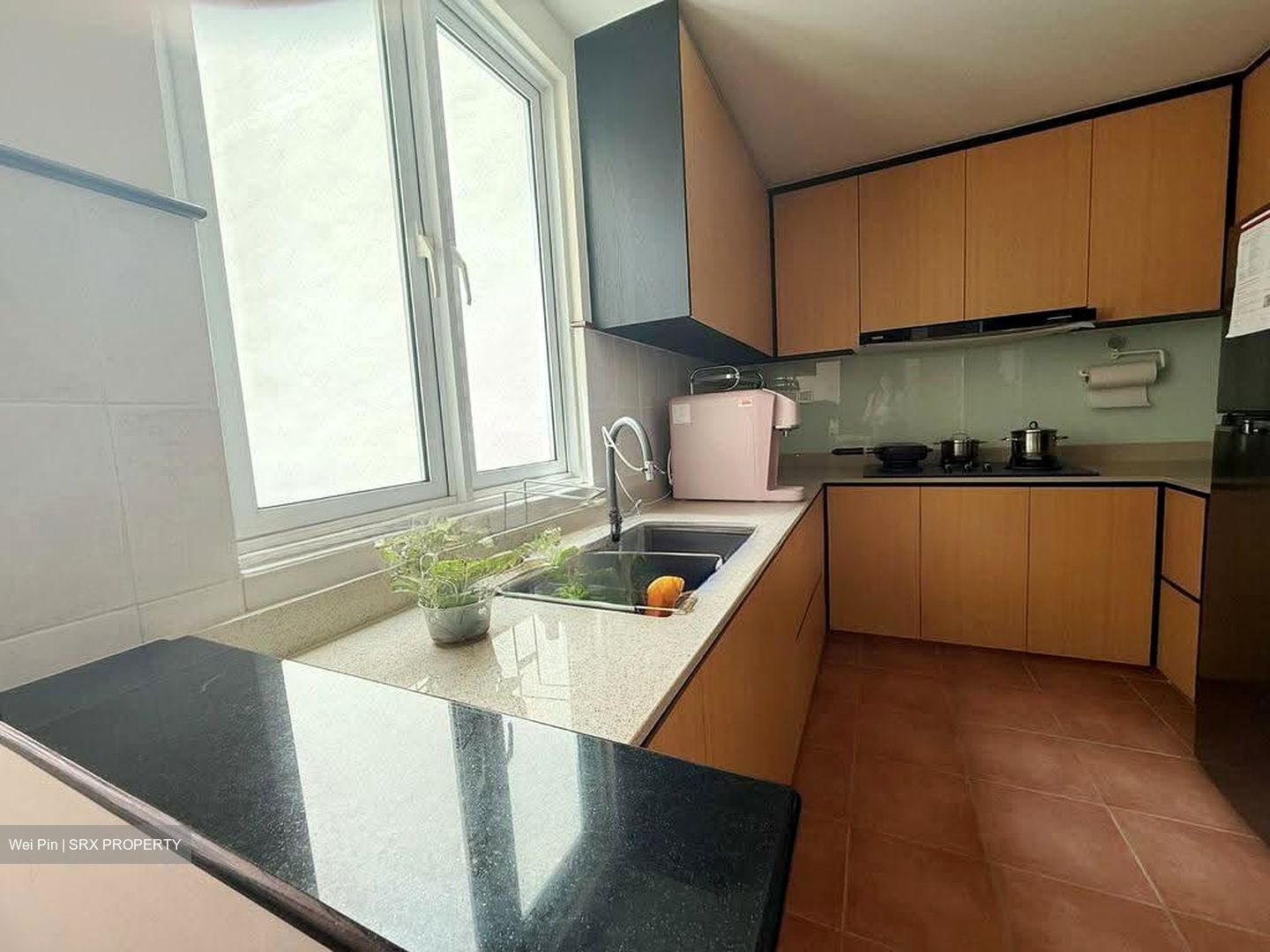 Euphony Gardens (D27), Condominium #622359961